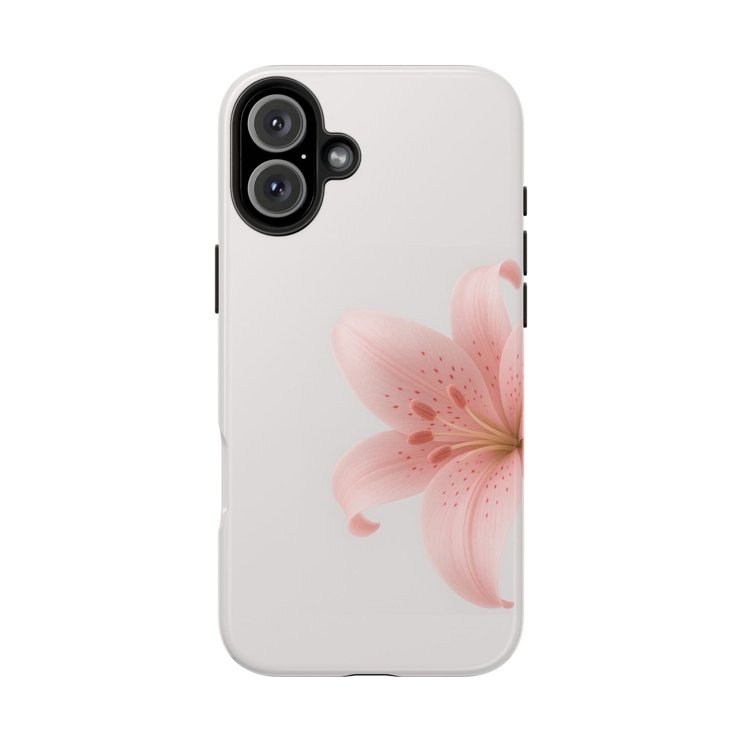 Pink + White Lily