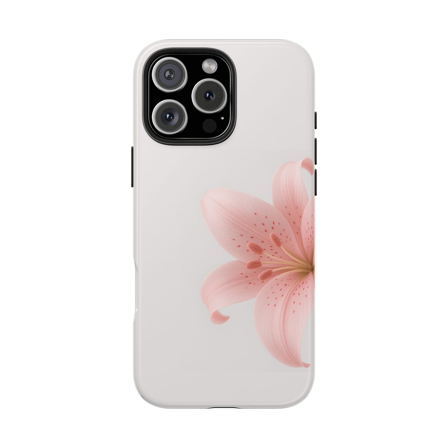 Pink + White Lily