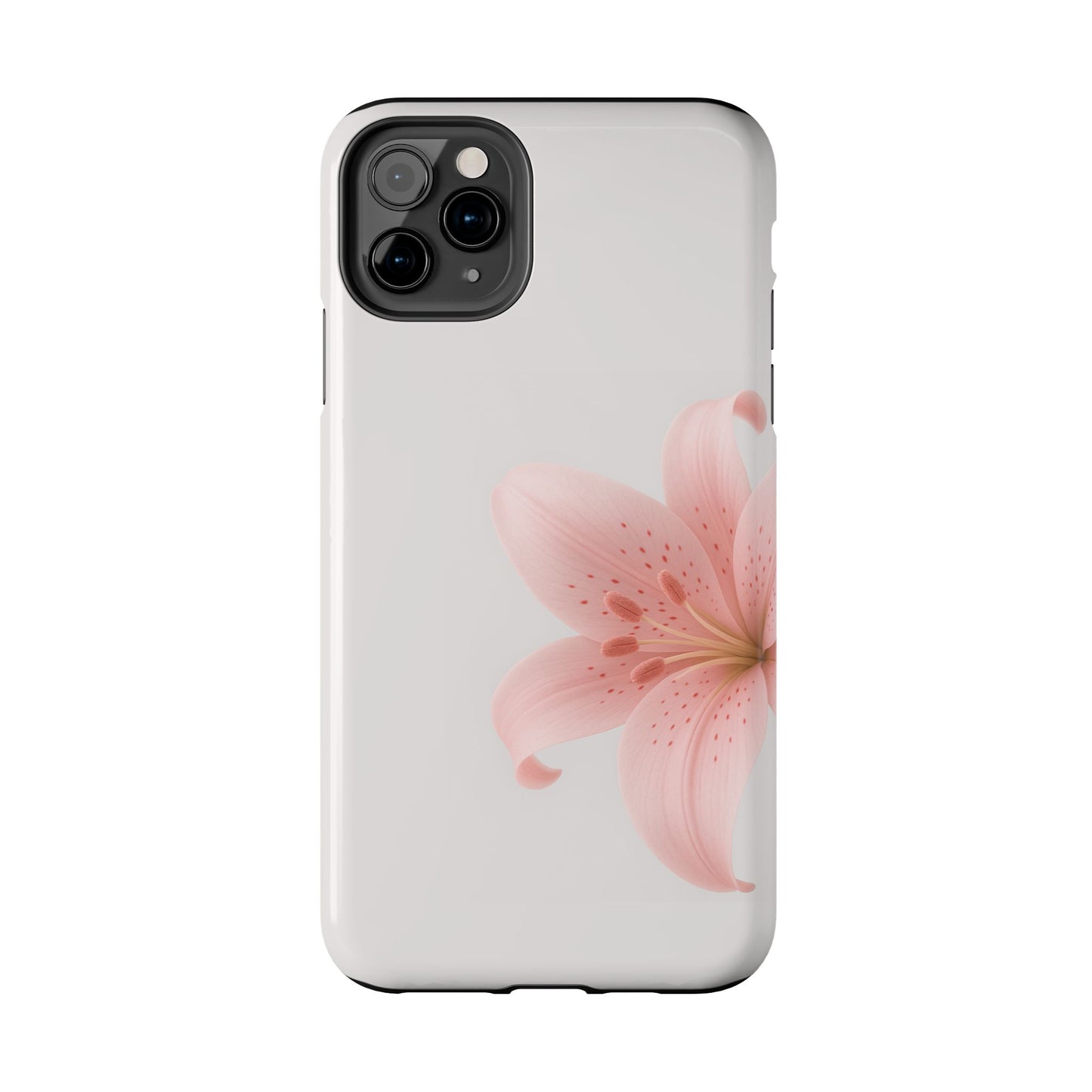 Pink + White Lily