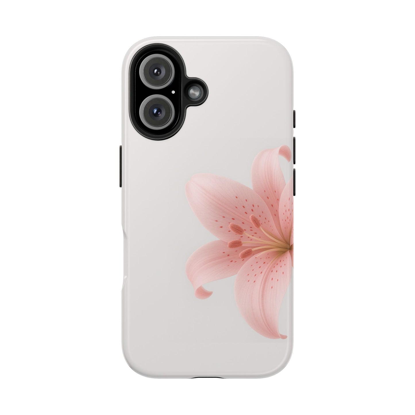 Pink + White Lily