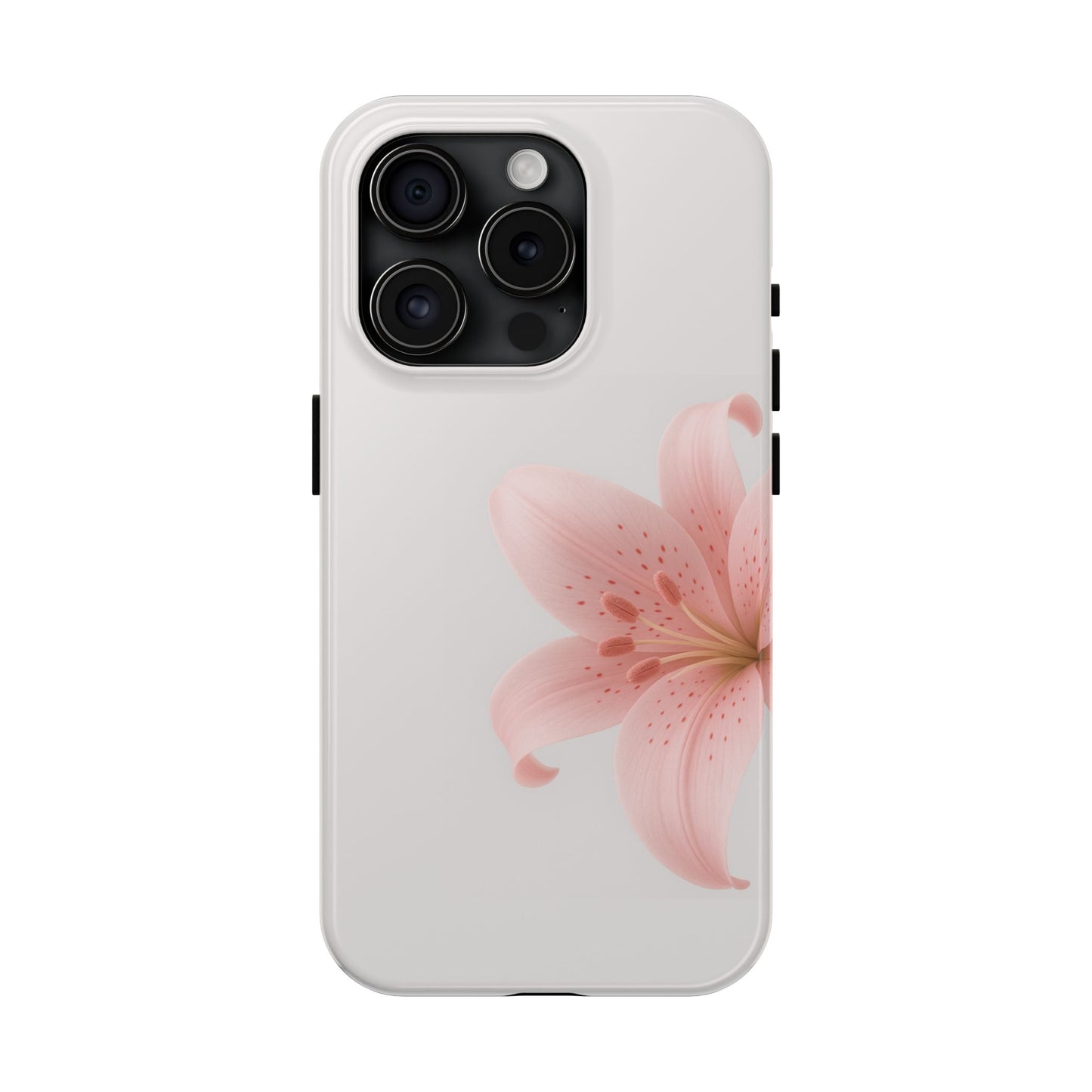 Pink + White Lily